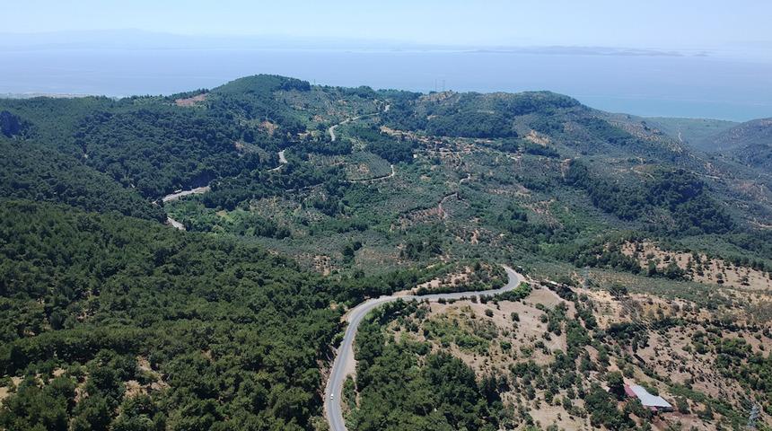 Kaz dağları nerede? Rakımı kaç, nerede başlar nerede biter?