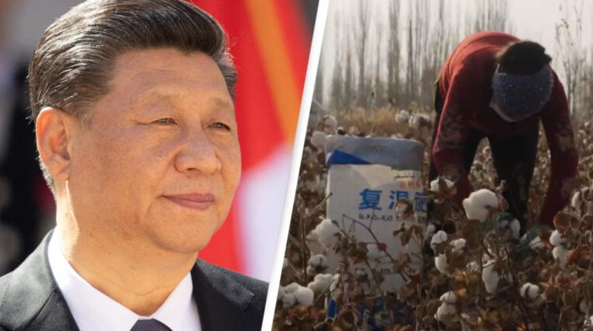 BBC, &Ccedil;in&rsquo;in y&uuml;z binlerce azınlığın zorlu işlerde &ccedil;alışmaya zorladığını doğruladı