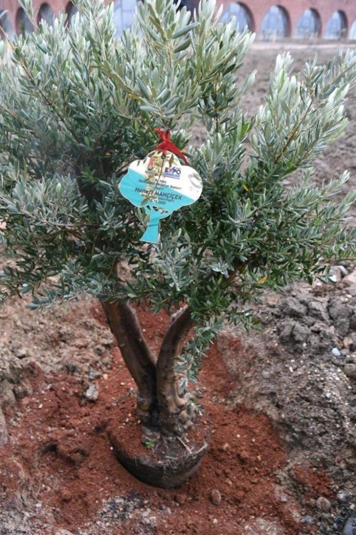 Kahramanmaraş EXPO 2023’e hazırlanıyor G5