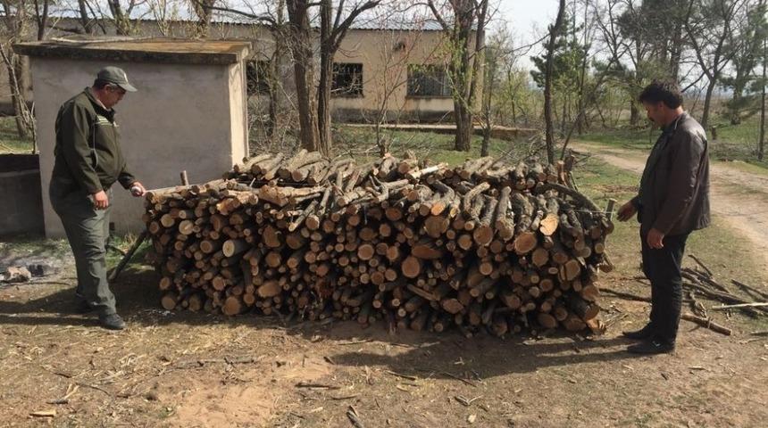 Kırşehir&rsquo;de, orman alanlarında 2 yılda 1 milyon  600 bin lira gelir sağlandı