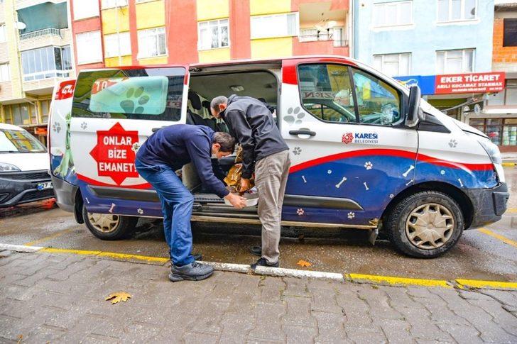 Karesi’den sokak hayvanlarına şefkat eli G3