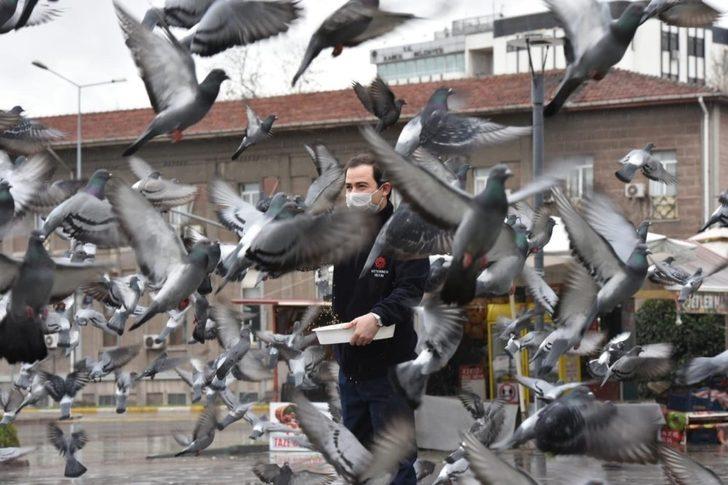 Karesi’den sokak hayvanlarına şefkat eli G5