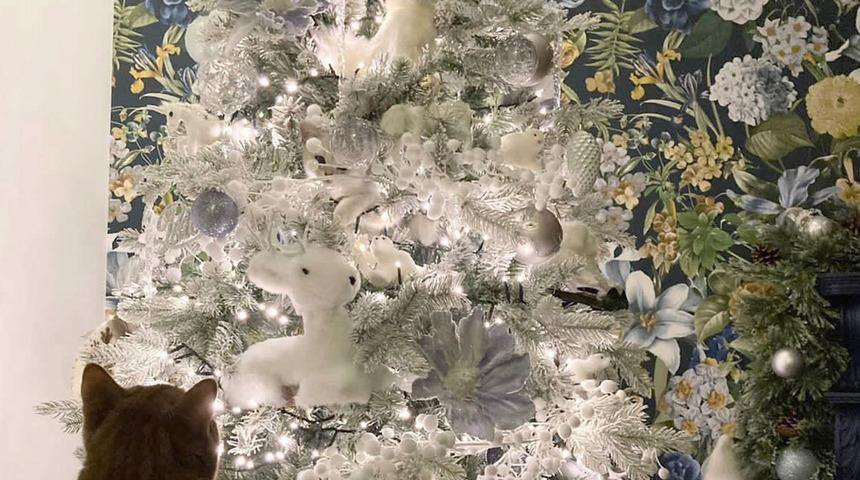 Yılbaşı ağacında saklanan kediyi görebiliyor musunuz?