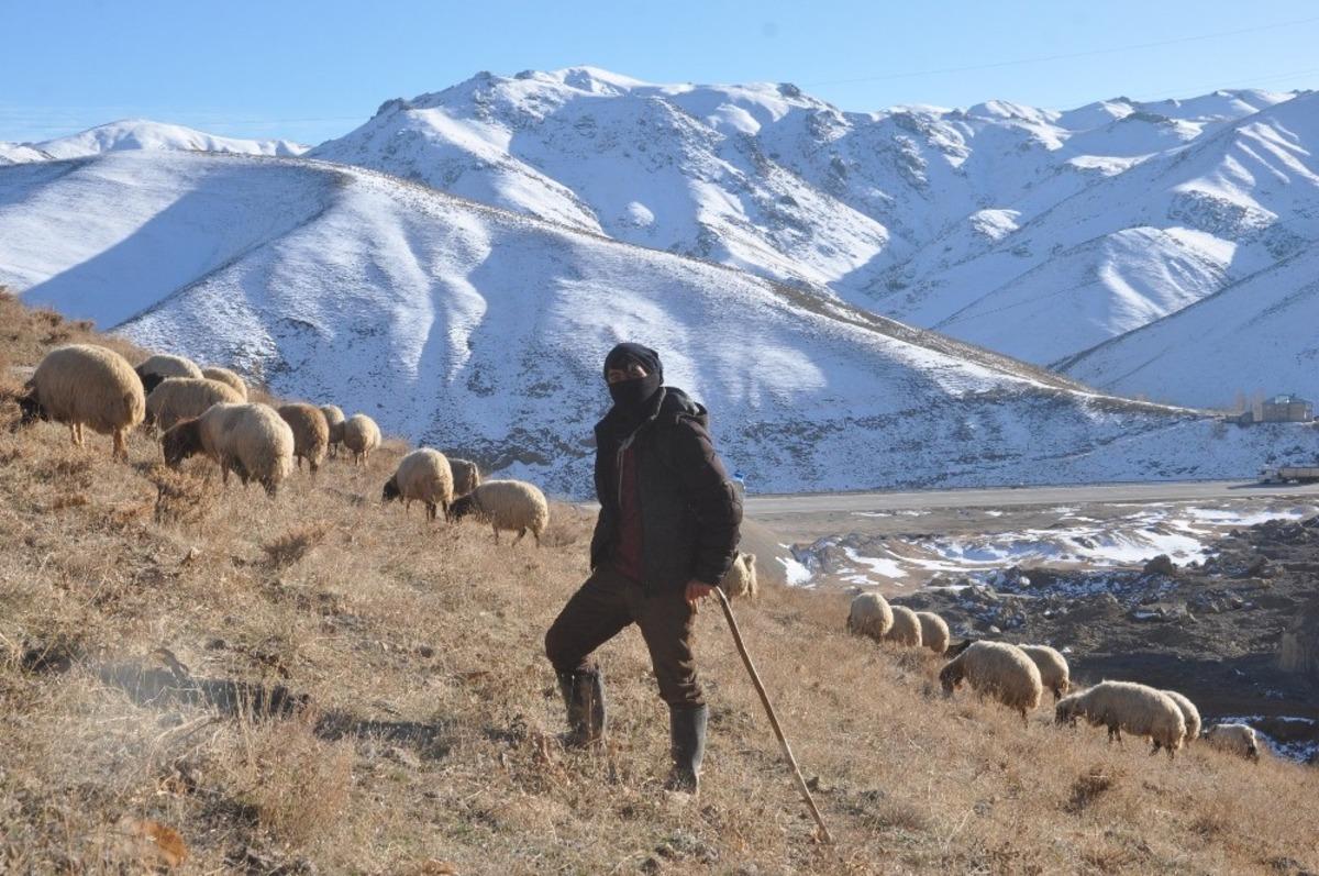 Y&uuml;ksekova&rsquo;daki besicilerin zorlu kış mesaisi