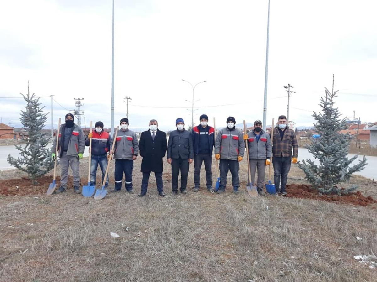 Altıntaş&rsquo;ta &ccedil;evre yolu ağa&ccedil;landırma &ccedil;alışmaları