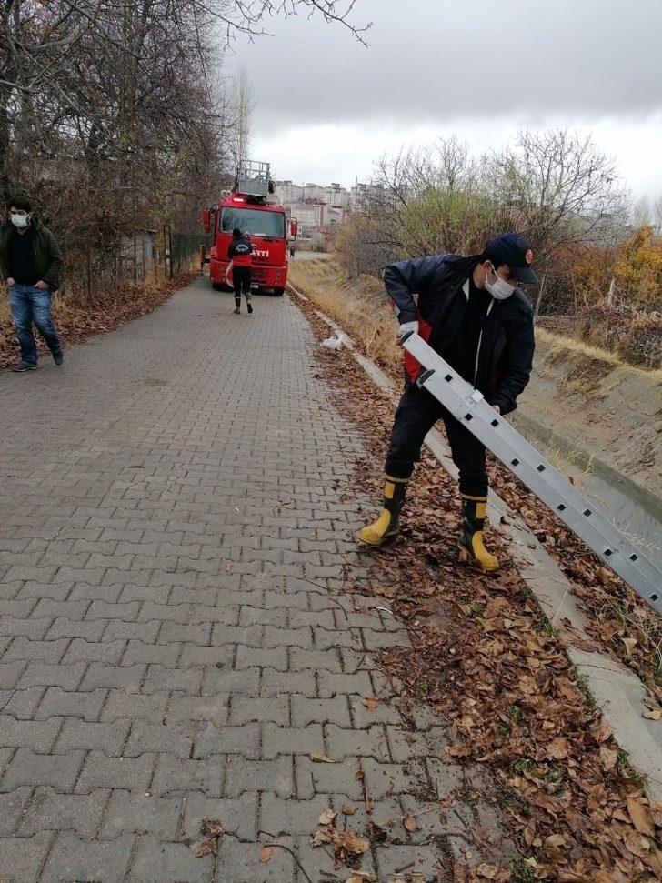 Şamran Kanalı’na düşen inek kurtarıldı G4