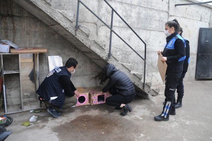 Cizre polisi sokak hayvanlarını unutmadı G4