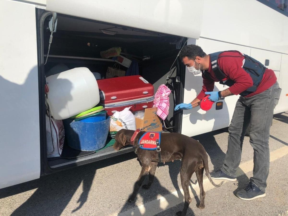 Jandarma ekipleri su&ccedil;lulara g&ouml;z a&ccedil;tırmıyor