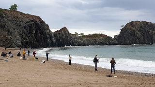 Dalgalar üretim çiftliğine zarar verdi, halk balıkları yakalamak için sahile koştu