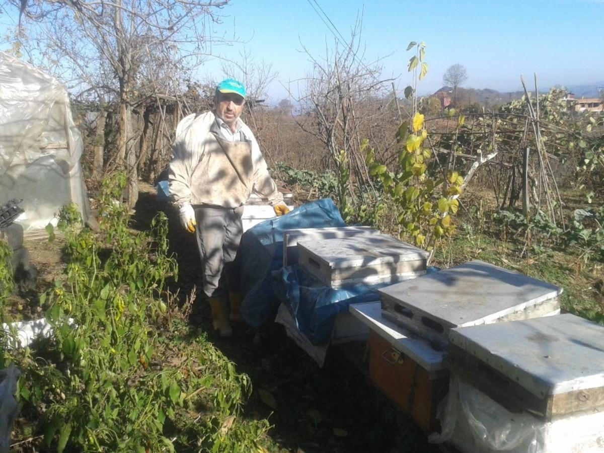 Korona vir&uuml;s kestane balına talebi artırdı