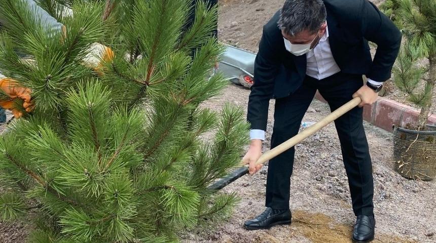 Pursaklar&rsquo;da ağa&ccedil;lar toprakla buluştu