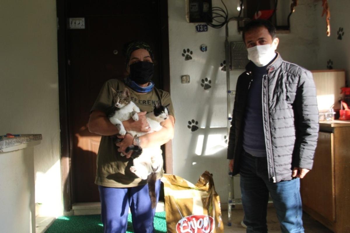 Muhtar sokak hayvanlarını kendi imkanları ile besliyor