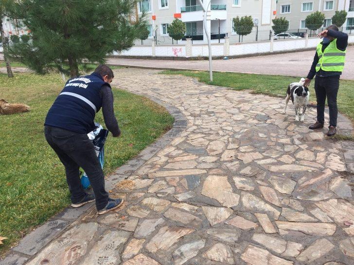 Bağlar Belediyesi sokak hayvanlarını unutmadı G3