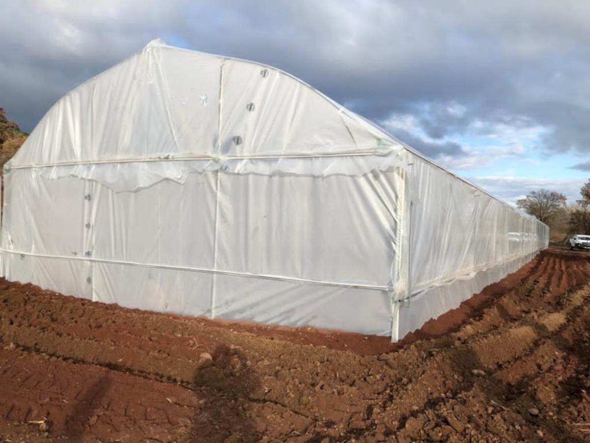 Kula&rsquo;da seralar kuruldu, &uuml;retim başladı