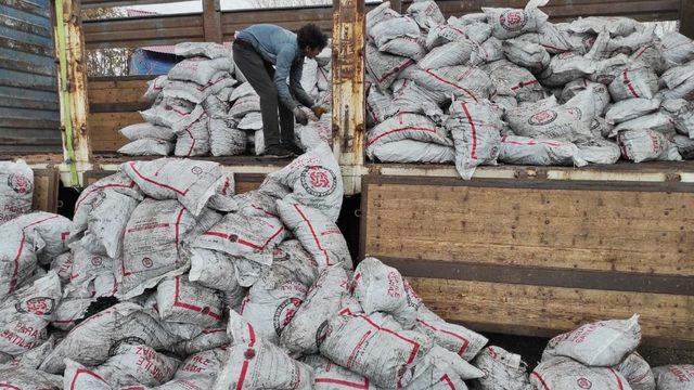 Bingöl Genç’te ihtiyaç sahibi ailelere kömür desteği
