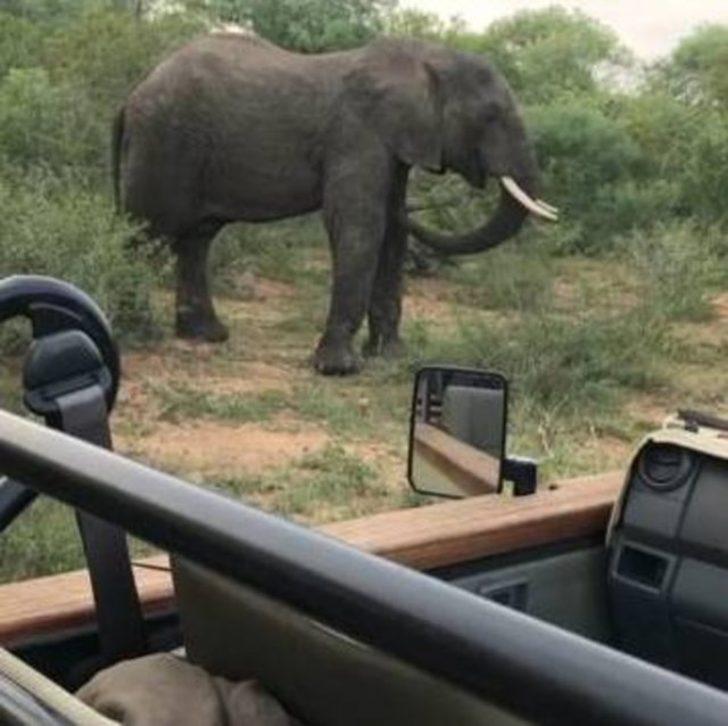 Şenay Gürler ve Semih Saygıner'in Afrika tatili G5