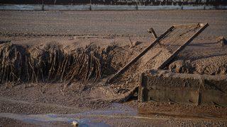 Balıkesir'deki çevre felaketi için belediyeden suç duyurusu