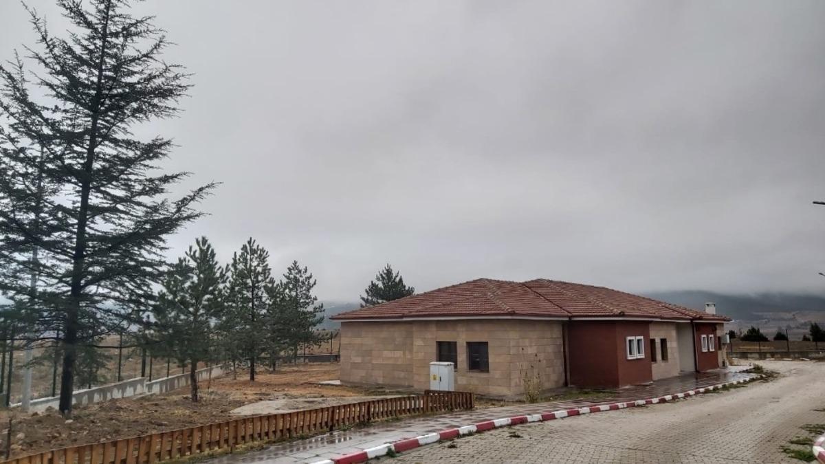 Kurum bah&ccedil;esini ağa&ccedil;larla donattılar