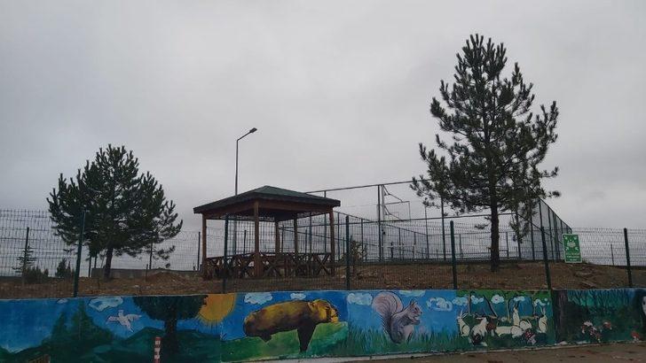 Kurum bahçesini ağaçlarla donattılar G4