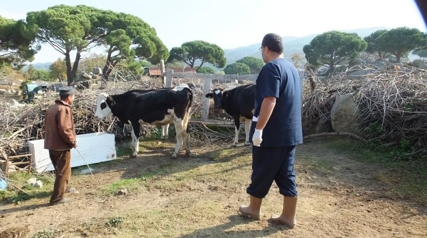 Burhaniye&rsquo;de bir mahallede daha kısmi karantina uygulanmaya başlandı
