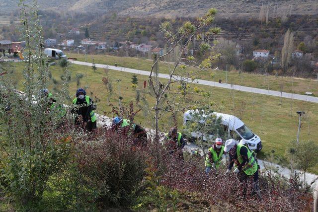 Niğde’deki yeşil alanlara periyodik bakım yapılıyor