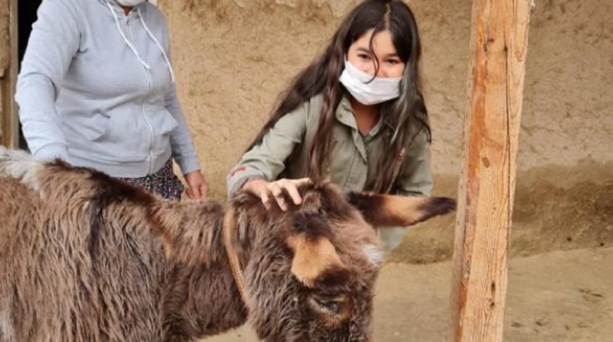 İşkence g&ouml;ren eşek, ge&ccedil;ici olarak 10 yaşındaki &ccedil;ocuğa verildi