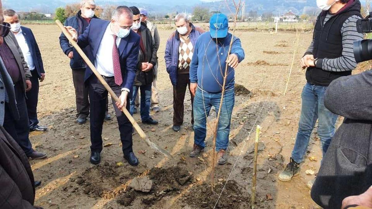 Aydın&rsquo;da 21 bin 700 adet erkenci kayısı fidanı dağıtıldı