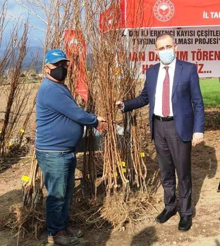 Aydın’da 21 bin 700 adet erkenci kayısı fidanı dağıtıldı G4