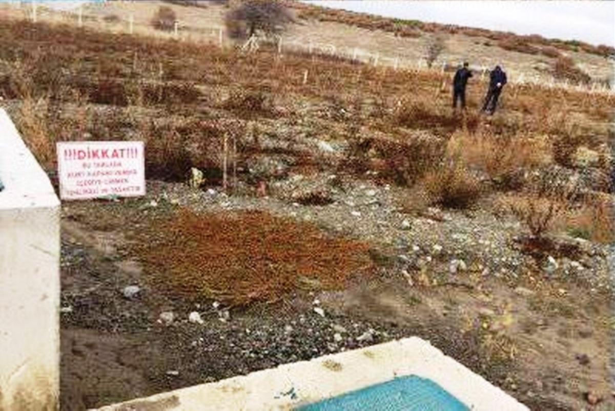 Tavşanlı&rsquo;da 9 dekarlık ceviz bah&ccedil;esi destekleme kapsamına alındı