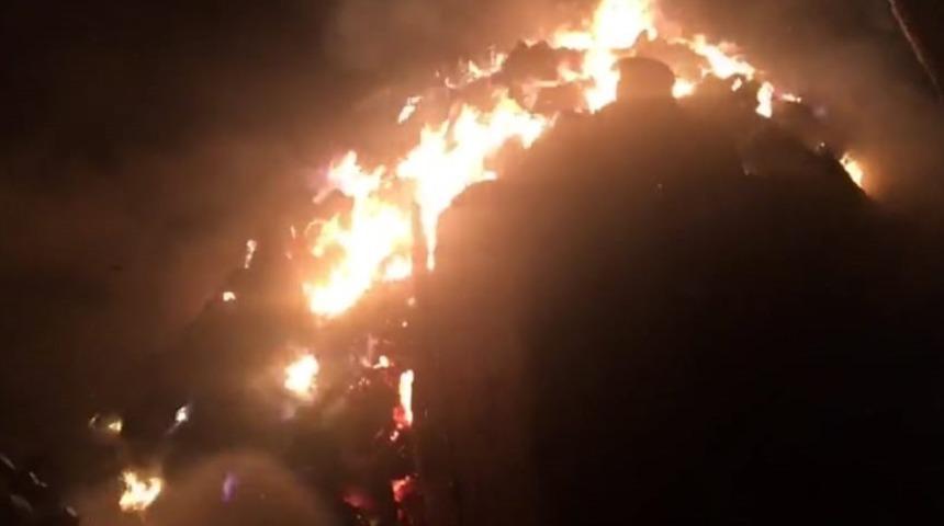 Hayvanları i&ccedil;in almıştı, hepsi yangında k&uuml;l oldu