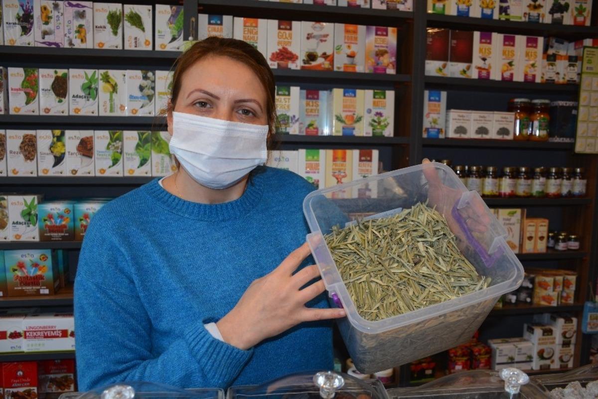 Sinop&rsquo;ta zeytin yaprağı satışı patladı