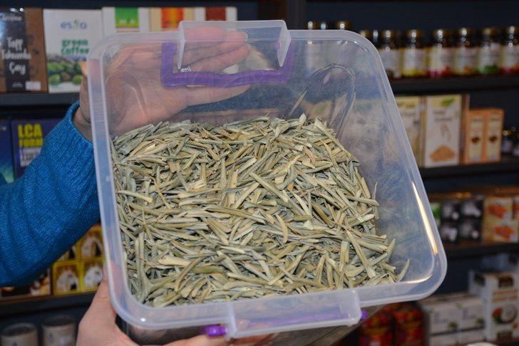 Sinop’ta zeytin yaprağı satışı patladı G3