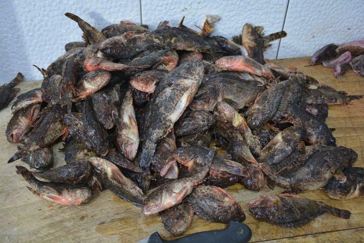 Dışı zehirli içi lezzet deposu G1