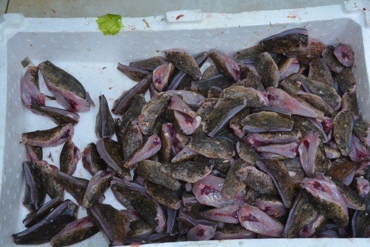 Dışı zehirli içi lezzet deposu G2