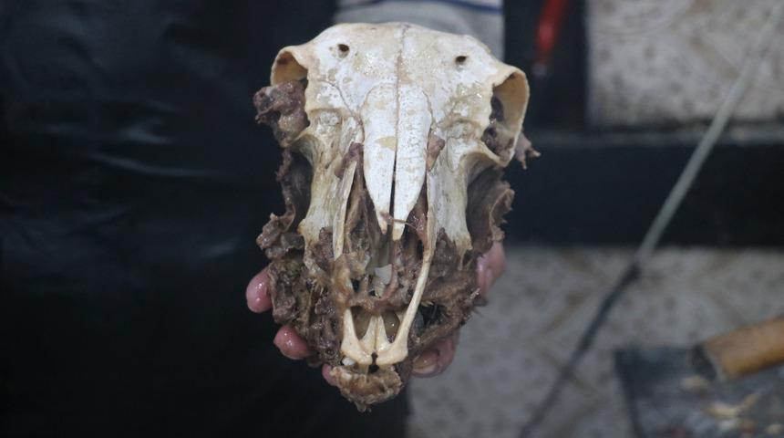 18 saat ateş görmeden pişiyor! Yurt dışına bile gönderiyorlar