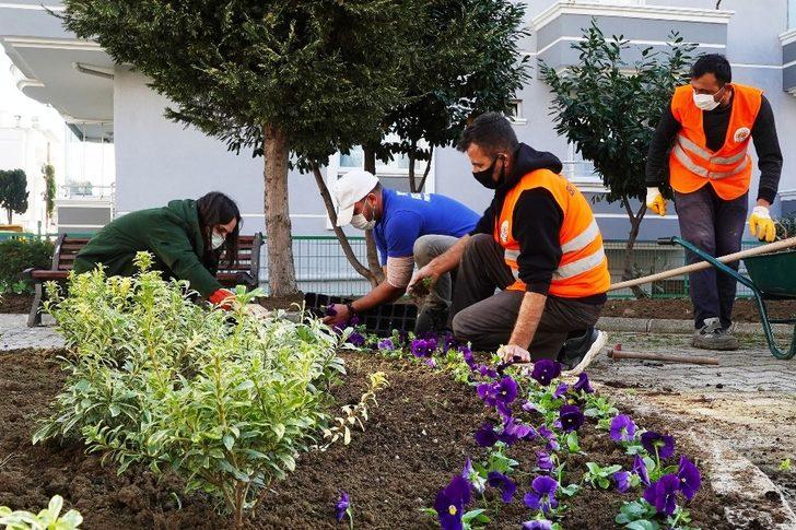 Atakum’da parklara kış bakımı G4