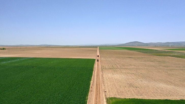 Tarımın birçok alanına yüzde 50 hibe desteği sağlanacak G2