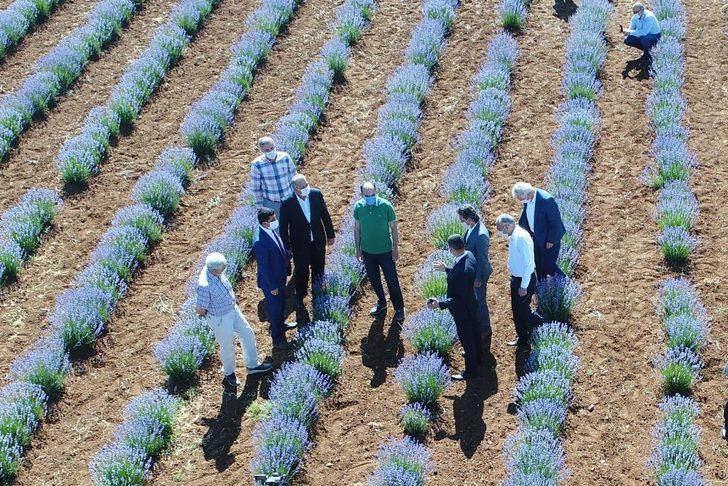 Tarımın birçok alanına yüzde 50 hibe desteği sağlanacak G4