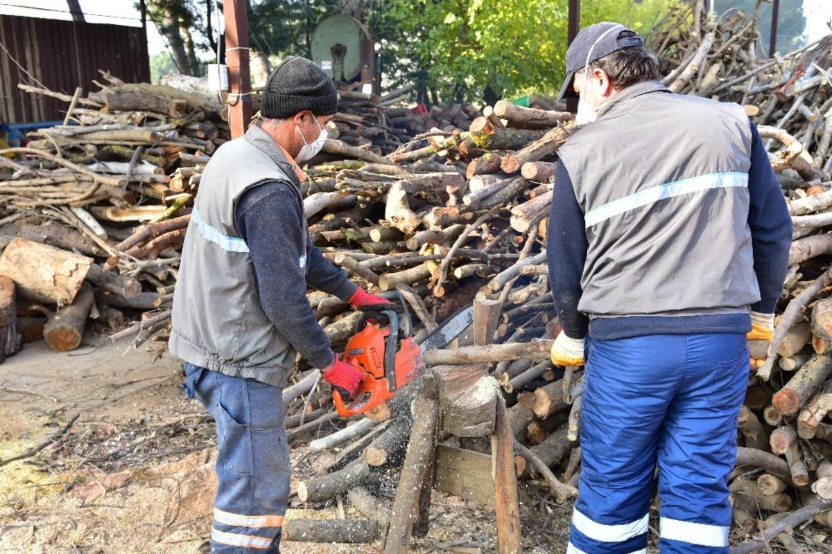 Budanan ağa&ccedil;lar ihtiya&ccedil; sahiplerine yakacak oluyor