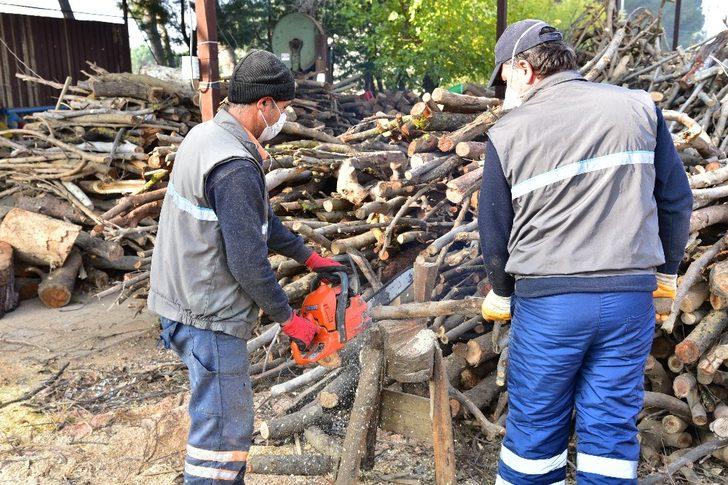 Budanan ağaçlar ihtiyaç sahiplerine yakacak oluyor G1