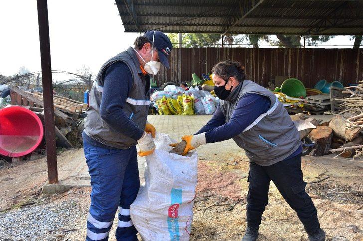 Budanan ağaçlar ihtiyaç sahiplerine yakacak oluyor G3