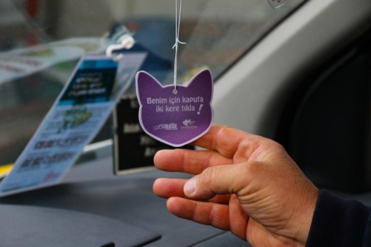 Safranbolu Belediyesi&rsquo;nden sokak kedileri i&ccedil;in &ldquo;Kaputa Tıkla&rdquo; projesi