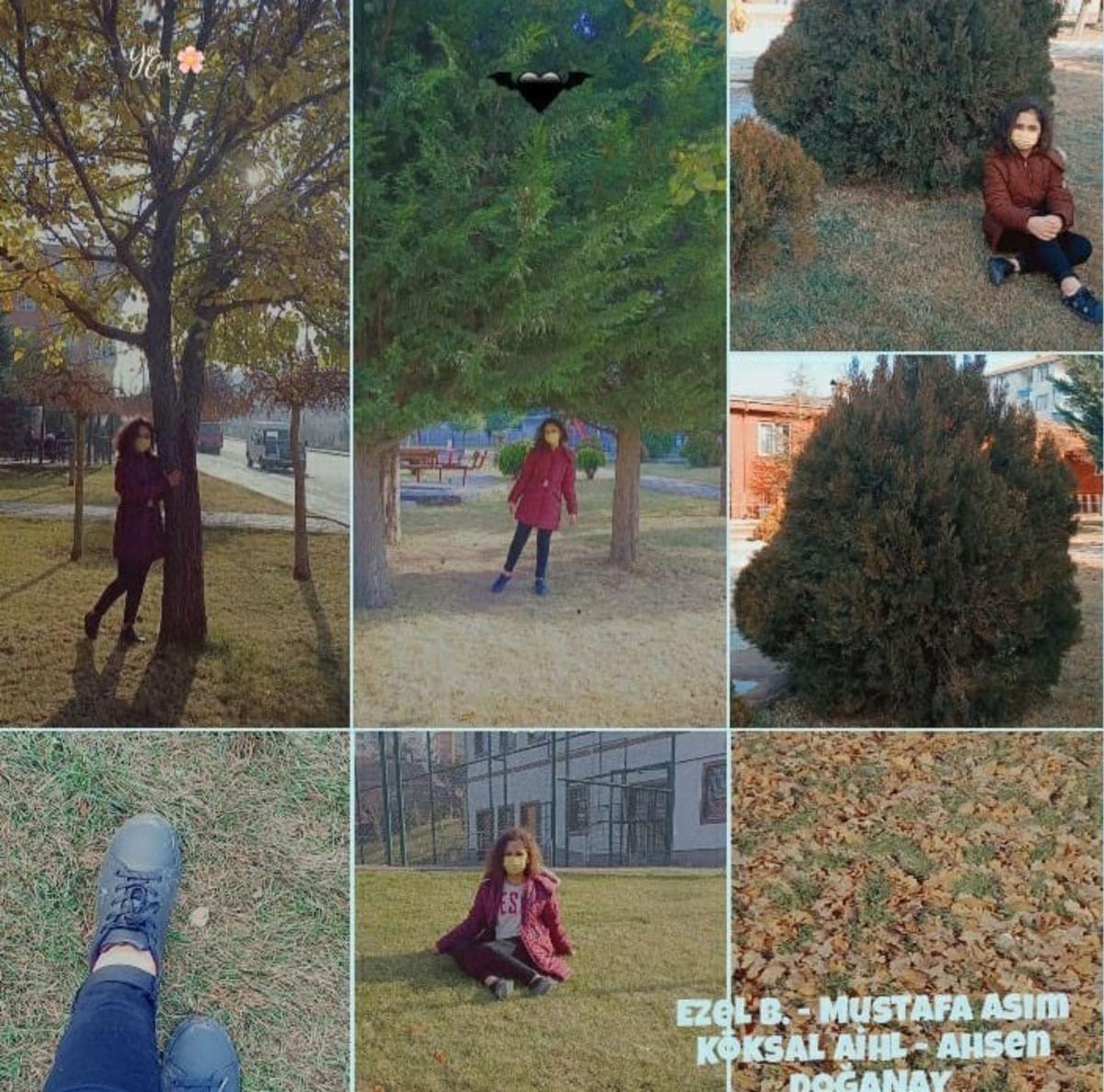 &Ouml;ğrencilere ekolojik okuryazarlık eğitimi