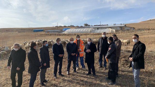 Bayburt’ta çiftçiler küçükbaş hayvanlarını teslim almaya devam ediyor