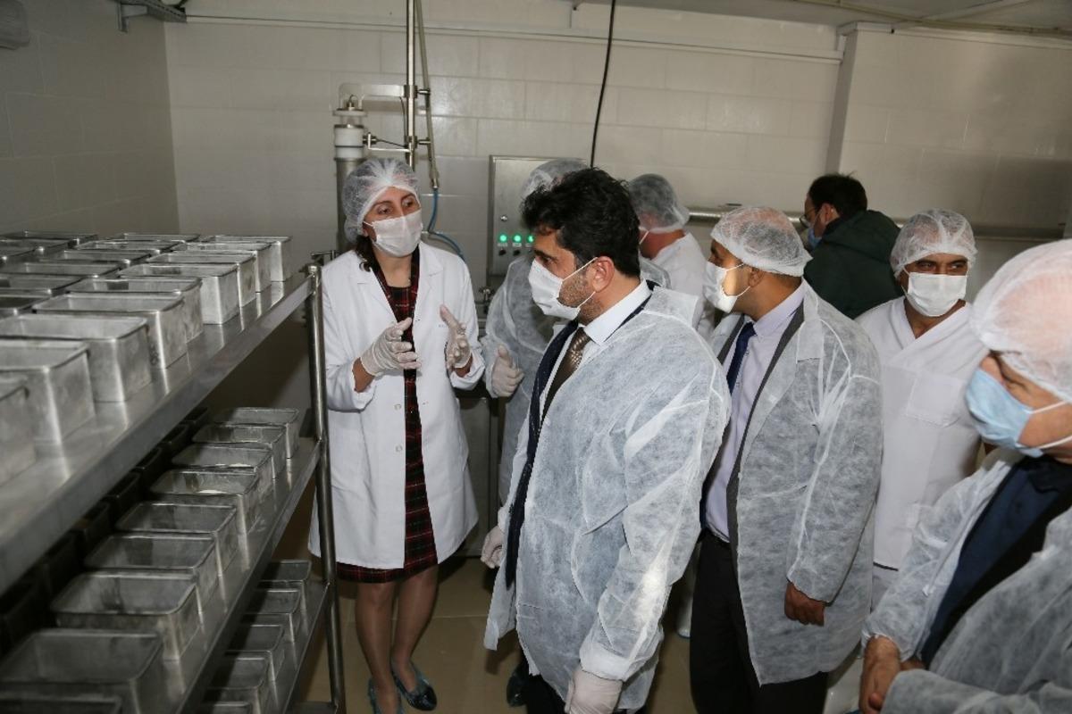 AD&Uuml; Ziraat Fak&uuml;ltesi Kaşar Peyniri &Uuml;retim Tesisi a&ccedil;ılışı ger&ccedil;ekleşti