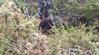 3 gündür her yerde aranıyordu!  Secde eder halde ölü bulundu