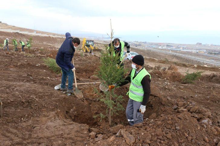Erciş Belediyesi orman çalışmalarını sürdürüyor G2