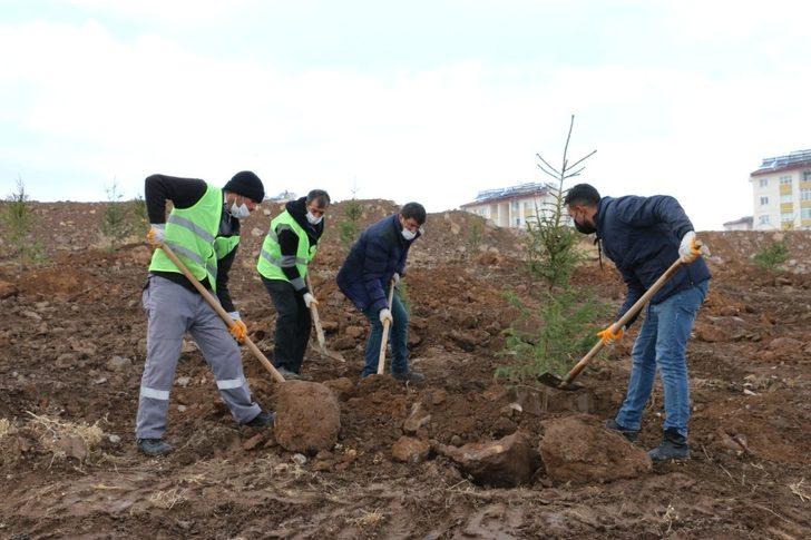 Erciş Belediyesi orman çalışmalarını sürdürüyor G3