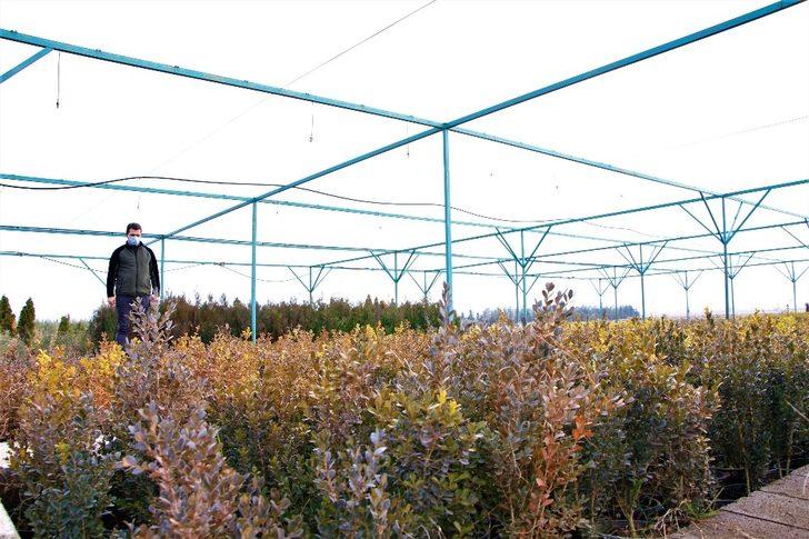 Elazığ Orman Bölge Müdürü Çetiner, yıl boyunca yaptıkları çalışmaları anlattı G4