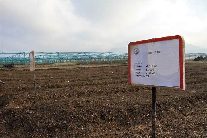 Elazığ Orman Bölge Müdürü Çetiner, yıl boyunca yaptıkları çalışmaları anlattı G5